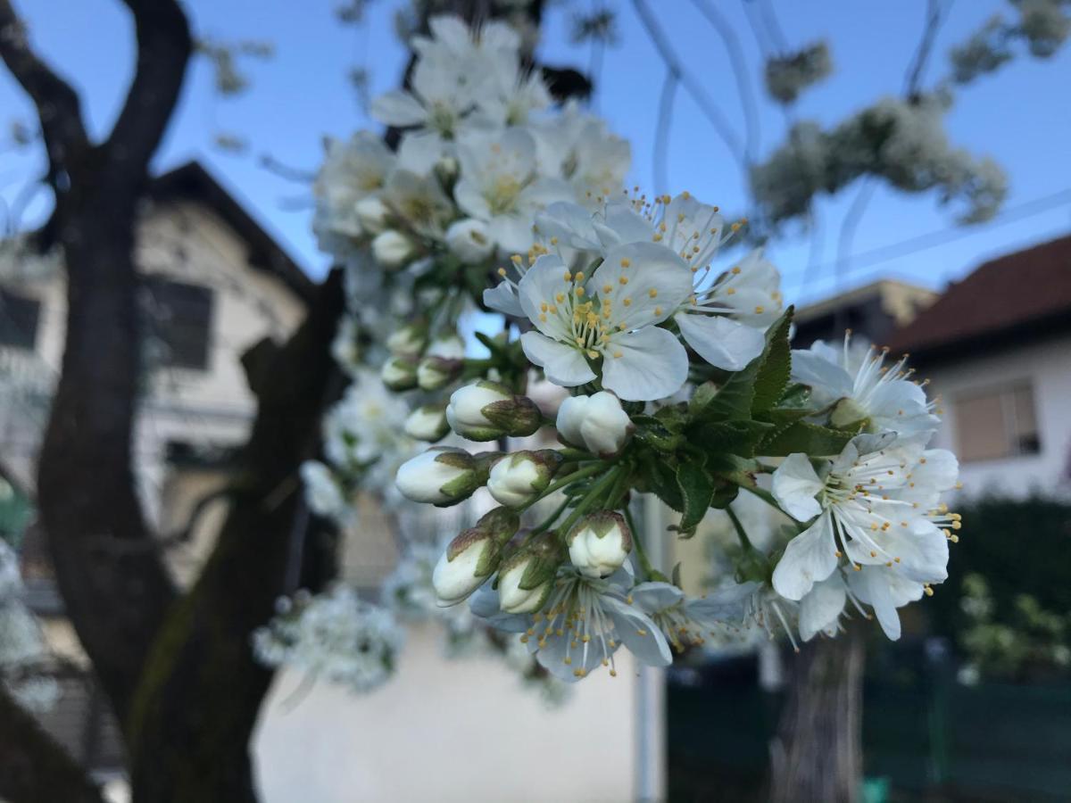 Apartman Katarina Zagreb Luaran gambar