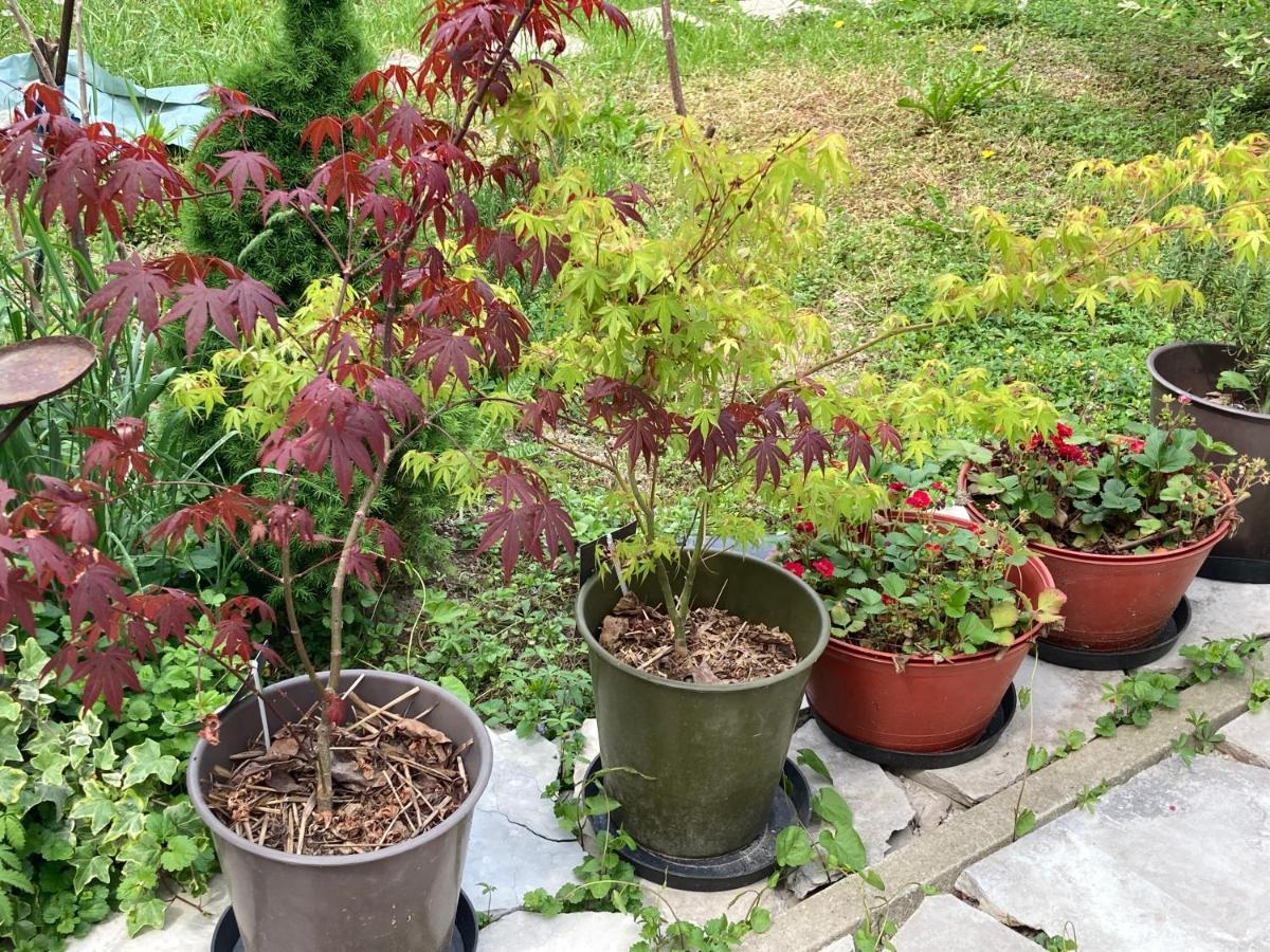 Apartman Katarina Zagreb Luaran gambar