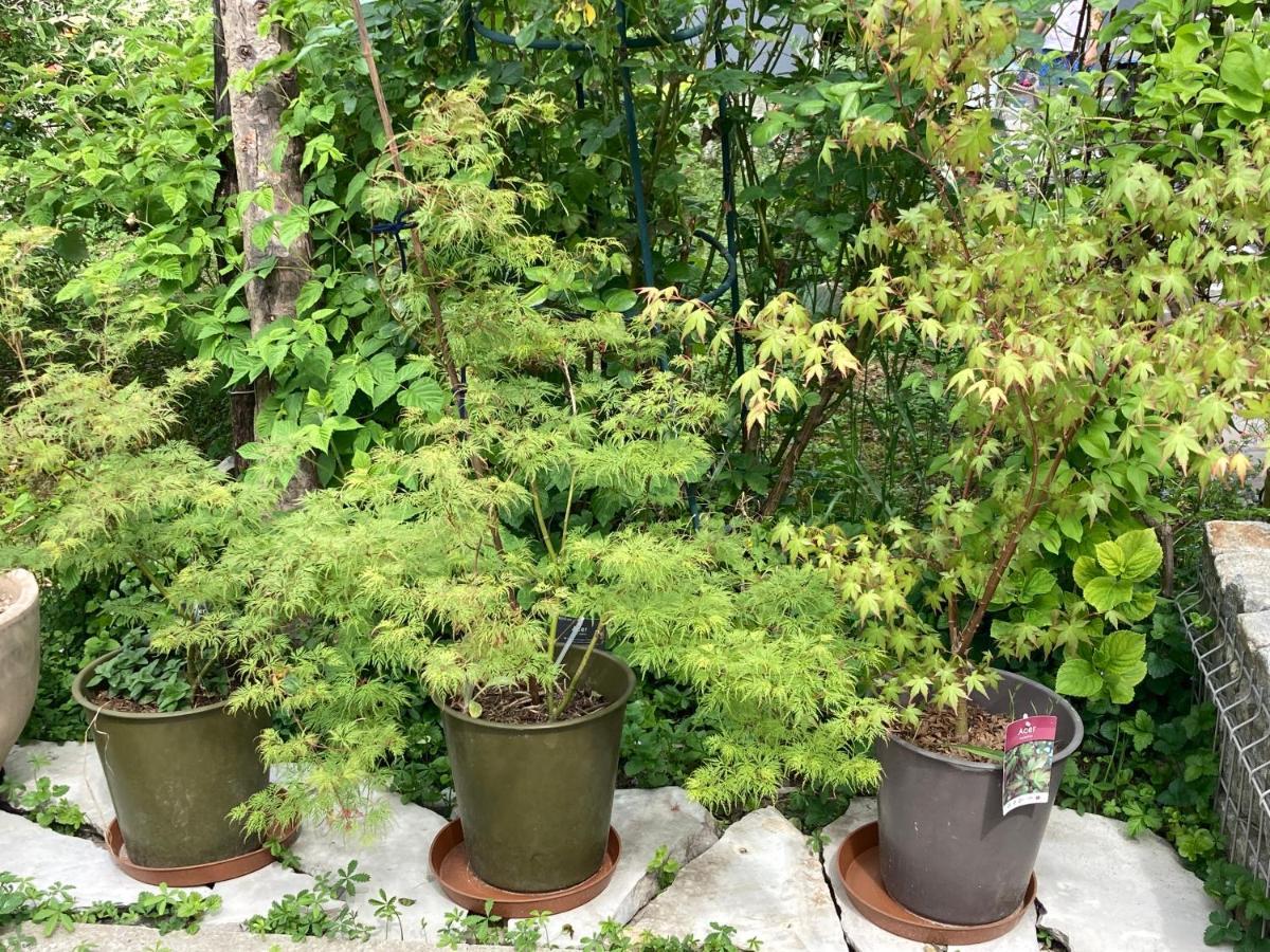 Apartman Katarina Zagreb Luaran gambar